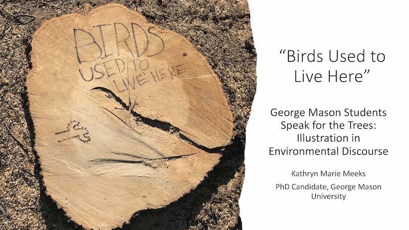 tree trunk with the words carved into it, birds used to live here